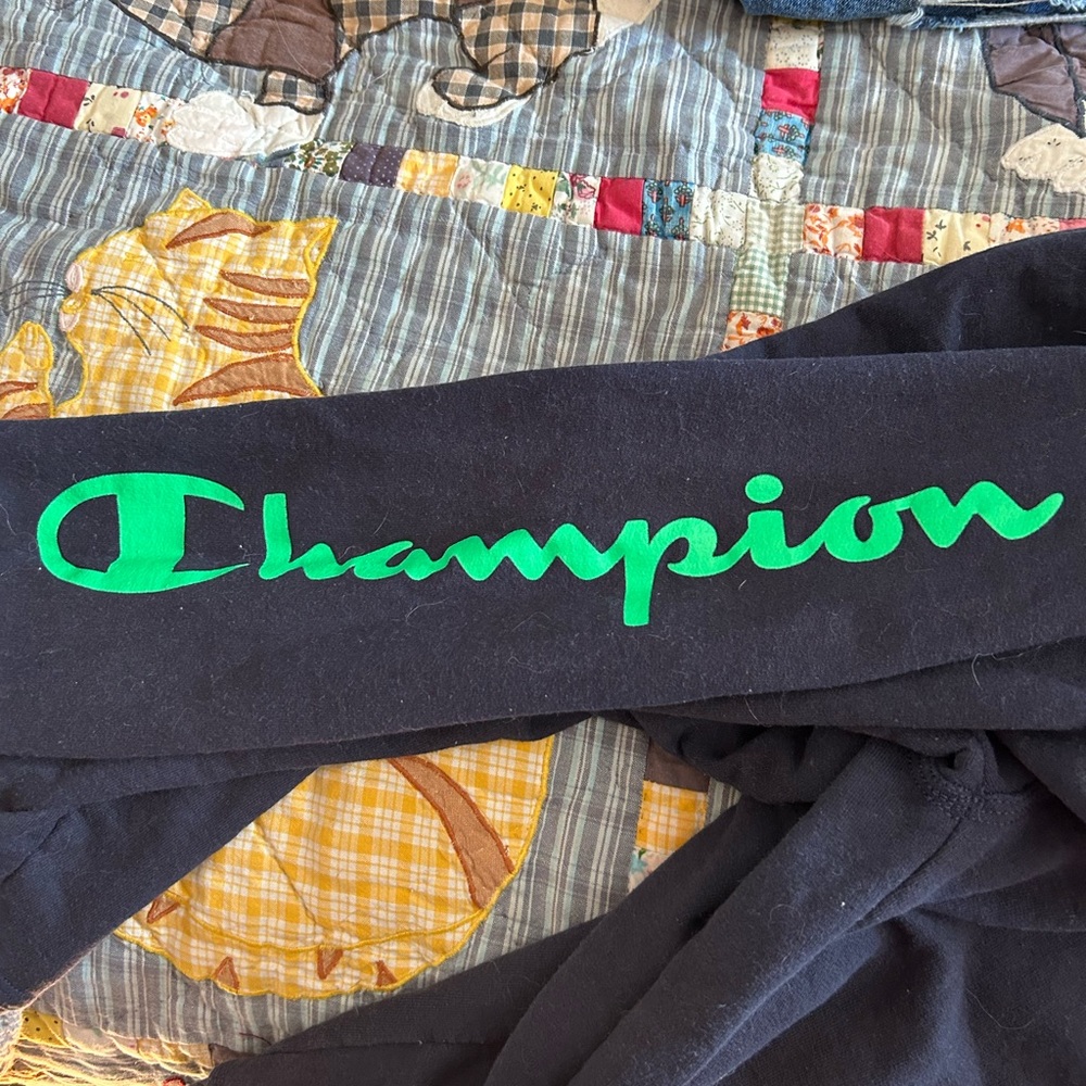 Champion Navy Hoodie with Green Accents - Picture 3 of 4
